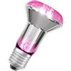 OSRAM Lampada per piante LED Star con filamento e 7,5 W / 140 lm, attacco | , LED Lamps, 63.00 Millimetres dia, , confezione da 1