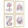 Nacnic Set Di 4 Stampe Anatomia Umana Poster E Quadri Con Cranio Polmoni Sistema Digestivo E Cervello Stile Floreale Acquerello Decorazione Da Parete Medica Dimensione A3 Senza Cornice