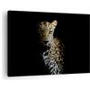 ARTTOR Moderno Quadro su Tela 70x50 cm Stampe da Parete Africa Animali - 4585 | Buio Leopardo Pantera Quadro Decorativo Piccolo 1 pezzo Soggiorno Camera da Letto Arte da Parete Decorazione da Parete ARTTOR