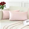 Generic Confezione da 2 federe decorative in velluto morbido a tinta unita, 40,6 x 61 cm, per cuscini lombari, per divano, letto, decorazione domestica, rosa chiaro
