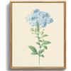 MHARTK66 Quadri Moderni Stampe da Parete vintage Naturale Fiori 30x40 cm | piante, tela, stampa hd, facile da appendere, installazione rapida, decoro classico da parete, per vari spazi, dono creativo