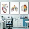 WZXGHE Poster di anatomia medica,poster di anatomia del cuore con fiori, immagini cuore polmone cervello,per decorazione dell'ufficio del medico senza cornice (D, 3x30x40cm, Senza cornice)