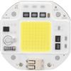 Hapivida Chip LED ad Alta Potenza, Perline Lampada COB da 50 W/70 W/100 W, Chip per Perline Lampada Illuminazione Fai-da-Te per faretto proiettore 220 V(100W Bianco Freddo)