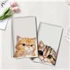 Generic 2 asciugamani da cucina a forma di gatto, adorabili e divertenti, 35 x 61 cm, in microfibra assorbente, strofinacci decorativi a nido d'ape, per cucina, casa, bagno, regali per amanti dei gatti