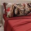 PETTI Artigiani Italiani - Lenzuola Animali con Gatti in Cotone con Federe in Stampa Digitale, Lenzuola Matrimoniali, Completo Letto Matrimoniale Rosso, 100% Made in Italy