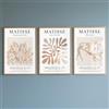 PWAAHDC Set di 3 Poster Decorativi Astratti Boho - Stampe Murali di Arte Moderna per Parete - Senza Cornice, 30x40 cm - Idee per Arredamento Casa, Soggiorno e Camera da Letto