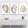 KXHHYB Set di 3 poster anatomici da parete con cuore, cervello, anatomia umana, ospedale, clinica, arte da parete, medica, senza cornice (D, 40x60cm*3)