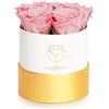 Amoroses Petite - Confezione Regalo 5 Rose Stabilizzate Eterne - Elegante Bouquet di Fiori Veri | Festa della mamma (Petite Scatola Bianca con Rose Rosa)