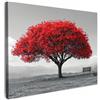 MuchoWow© Quadro Moderno Soggiorno Decorazioni Da Parete Quadri Su Tela Da | 70x50 cm - Salotto Grandi Foto Con Cornice Stampe Su Tela Camera Da LettoAlbero - Rosso - Natura - Bianco e nero - Fiori