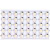 Fybida 40pcs LED Chip Lampadina, 1W 12V 16mm Ad Alta Luminosità Perline Lampada A Risparmio Energetico con Piastra in Alluminio per Faro Riflettore Torcia Elettrica(Luce Calda)