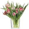 TREND FOR HOME Vaso trasparente decorativo in vetro per bouquet di fiori vaso di fiori per terrario piante grasse, sicurezza in lava stoviglie, collezione viola, capacità 820 ml
