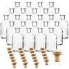 gouveo Set da 24 bottiglie da farmacista rotonde (0,25 l) con tappo in sughero con impugnatura in legno in vetro trasparente per liquore sciroppo olio aceto bottigliette degustazione (AFRT250HGK)