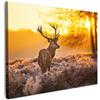 MuchoWow© Quadri Moderni Soggiorno su Tela Quadro Canvas Foto Dipinti | 40x30 cm - Camera da Letto Decorazioni Pareti Cervo - Animali - Tramonto - Inverno - Erica - Natura