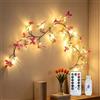WRQIOO Catena luminosa a 36 LED, con farfalla, 8 modalità, 1,6 m, con telecomando, catena luminosa colorata di vimini con alimentatori USB, per primavera, camera da letto, feste