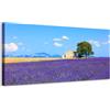 Generico Campo di fiori di lavanda - Quadro stampa su tela con telaio in legno - 80x40 cm