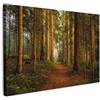 MuchoWow© Quadri su Tela Foto Quadro Moderno Soggiorno Canvas Decorazioni | 120x80 cm - Camera da Letto Foresta - Natura - Alberi - Paesaggio - Foglie - Campagna