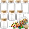 GZLCEU 8 Pezzi Boccette Vetro Tappo Sughero, 50/100ml Barattoli Vetro Piccoli per Regali,Feste,Spezie da Cucina,Fai da te Bottiglie di Vetro con di Tappi di Sughero
