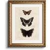 HUARCEY Immagini su Tela con Cornice Dorata, Quadri da Parete Vintage, Decorazione Classica per Parete, Soggiorno, Camera da Letto, Bagno, Cucina, Decorazione per Casa di Campagna, Estetica, Pittura