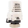 3S SuperSamaStore TESTINA TERMOSTATICA CAZZANIGA WATTS 148A