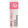 cemon Phosphorus flavus 6lm gl