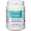 BIOTEKNA Srl MELCALIN Creatin Polv.190g