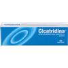 FARMA-DERMA Srl Farma-derma, Cicatridina, 60 g