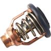 AYZLGAA for Motori da Barca Y-a-m-a-h-a 6da-12411 18-3636 Termostato fuoribordo 140 ℉