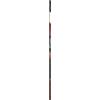 Daiwa Amorphous Canna Bolognese Power (AVP60-BI)