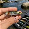 Generic 1 pz lento affondamento sospeso matita esca occhi 3D realistica pesciolino nuoto esca dura per alba crepuscolo pesca notturna