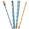 K2 Accesso Backcountry BCA Stealth Lawinen-Sonde