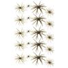 Amosfun 20 Pezzi Esca Artificiale Riccio di Mar e Galleggiante TPE | Design Sospeso Naturale, Effetto Riflettente, Azione Sottile della Coda, per Specchi D'acqua e Fiume