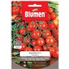 Blumen Pomodoro Zucchero F1