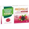 ANGELINI PHARMA ITALIA SpA TANTUM VERDE NATURA PROPOLI+C CON ZINCO E VITAMINA C 15 PASTIGLIE MMOSE GUSTO FRUTTI DI BOSCO