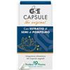 Gse Capsule 60 Capsule