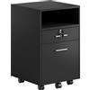 Vinsetto Cassettiera da ufficio con 2 cassetti, 1 bloccabile e 5 ruote, 40x40x65 cm, nero | Aosom Italy