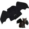 Jahuanoo Da Per Gatti Halloween Pettorina Regolabile Divertente | Costume Da Gatto Per Piccoli AnimDomestici Per Natale Carnevale Cosplay Festa