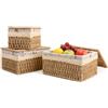 Novocloud Set di 3 Cestini Portaoggetti Bagno con Coperchio e Fodera Rimovibile, Cesto Vimini Intrecciato a Mano per Organizzazione Casa, Scatole Portaoggetti Decorative per Scaffali, Cucina e Cameretta