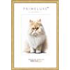 PrimeLuxe Cornice portafoto in legno massiccio su misura, stretta, 20 x 30 cm, in oro, dimensioni a scelta, con vetro acrilico antiriflesso, cornice per poster, puzzle, collage fotografico