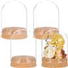 BENECREAT 4 Barattoli Vetro con Cupola 65.5x91.5mm, Campana A Cloche Centrotavola da Tavolo - Per Piante, Fiori e Decorazioni Artigianali