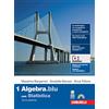 Zanichelli Matematica.blu. Con Statistica. Per le Scuole superiori. Con Contenuto digitale (fornito elettronicamente). Algebra (Vol. 1)