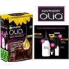 L'OREAL ITALIA SpA DIV. CPD GARNIER OLIA MOGANO