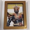 NESSUNA MARCA Modellino commerciale Kamen Rider Odin Golden Frame Magnet Collection Vol.2