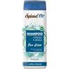 SPLEND OR NEW SHAMP CETRIOLO 300