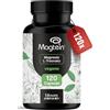 Bloom Naturals Beauty Supplements Magtein® Magnesio L-Treonato - 120 Capsule - 2000 mg al giorno | Magtein® puro - vegano, prodotto in Germania, testato in laboratorio - Integratore Magtein Magnesio Treonato Puro