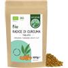 Alpi Nature Radice di Curcuma BIO Essiccata Tagliata 100g, Curcuma a Pezzi | Radice di Curcuma longa Essiccata e Tagliata per Cucina e Tisane