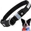 Domigard Collare per Cani LED Ricaricabile, 3 Colori Luminosi con 3 Modalità, IPX7 Impermeabile e Regolabile Lunghezza - Collare Fluorescente per la Sicurezza di Cani Piccoli e Medi(rosso e blu)