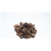 SAM SNACK Polmone di Agnello | Ideali per il Training, Boccincini, Snack Naturale, Per Cani di Tutte le Taglie