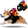 panemy Vestito Halloween Cane Piccolo, Costume Halloween Cane, Vestiti Cane (S, NG)