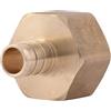 SharkBite UC068LFA - Adattatore per bilanciere FNPT PEX, 1,27 x 1,9 cm