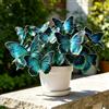 DSRTYHF Farfalla Bellissima Varietà di Hosta, Decorazione Naturale per Il Giardino-4Bulbi-e